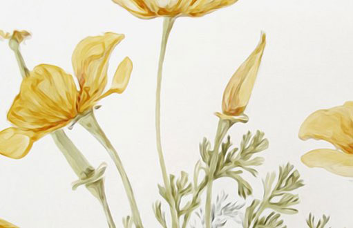 1618285515887583.jpg 2021-01-07_114353.jpg