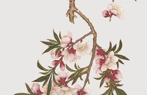 2021年5月21日农历四月初十出生的女孩起诗意独特的名字