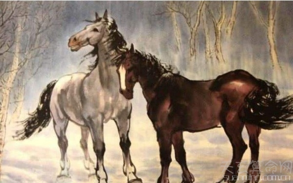 不同月份生肖马的最佳伴侣 属马的最佳配偶