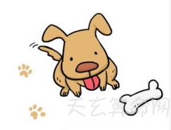 属狗的几月出生最好  十二月出生的属狗的人一生幸福荣华