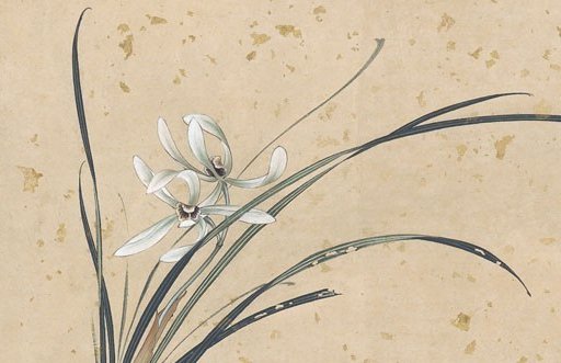 2021年4月30日出生的宝宝命好不好,三月十九的孩子八字起名字