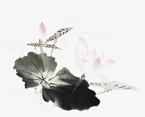 金牛座四种血型性格解读,O型金牛座属于慢性子的人