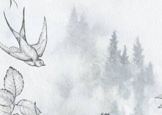 农历2020鼠年大年初一出生的女孩命好吗,要怎么起名