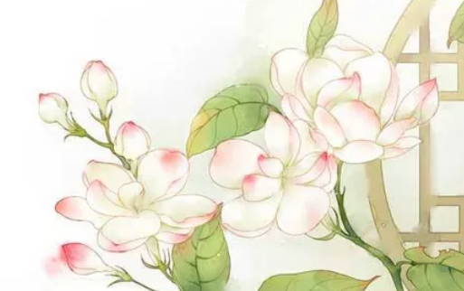 2020年6月4号闰四月十三生的男孩命运好吗，取什么名字寓意好