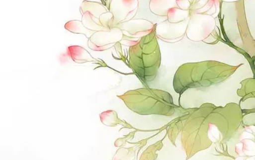 2020年6月5号闰四月十四芒种生的男孩命运好吗,如何八字取名字