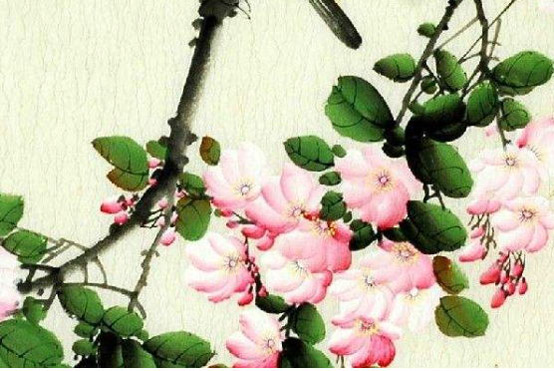 2020年4月1日三月初九生的男孩命运好吗，怎么八字起名字
