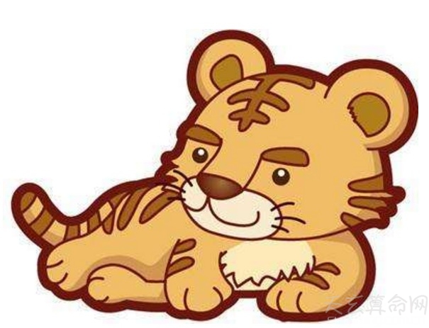 金虎年是哪些年份 金虎年出生的性格命运解析