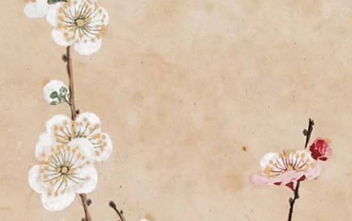 2020年6月1号儿童节闰四月初十生的男孩命运好吗,取什么名字好