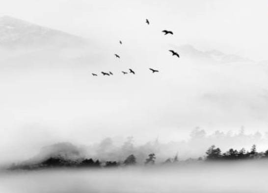 农历2019十二月二十二出生的男孩命好吗，要怎么起名