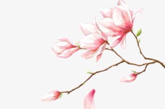 2020年3月4日二月十一生的男孩命运好吗,取什么名字福气好