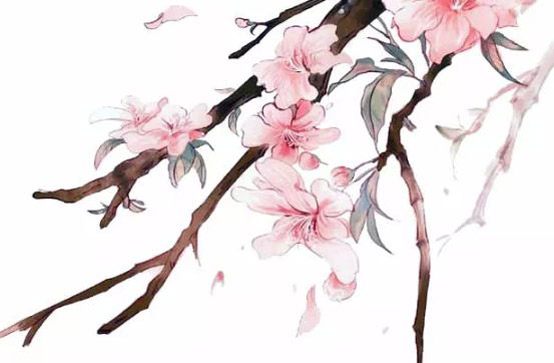 2020年3月24号三月初一生的女孩是什么命，起什么名字有福气
