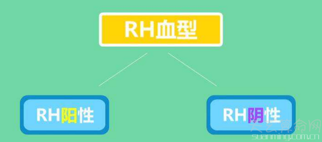 rh血型阳性是什么意思  血型定性为rh阳性就是正常血型