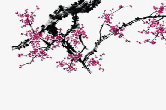 2020年3月27号出生的女孩怎么样取名字，五行属什么