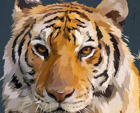 2020年7月生肖属虎运势,方方面面都会有好发展