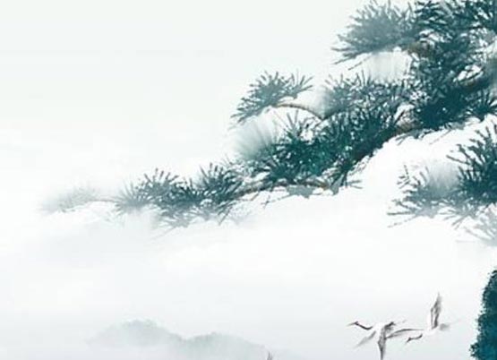 白羊座a型血男生的性格特点及命运