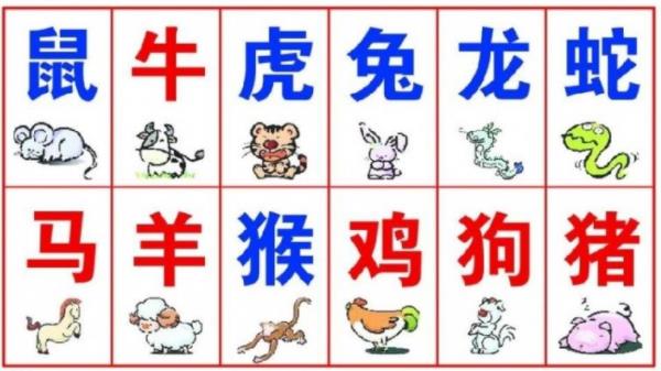 十二生肖爱情配对最佳搭档解析