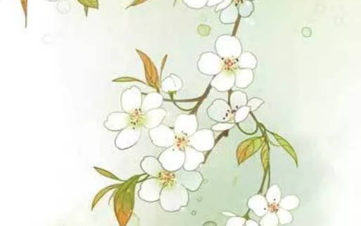 2020年6月6号闰四月十五生的男孩命运好吗,取什么名字吉祥