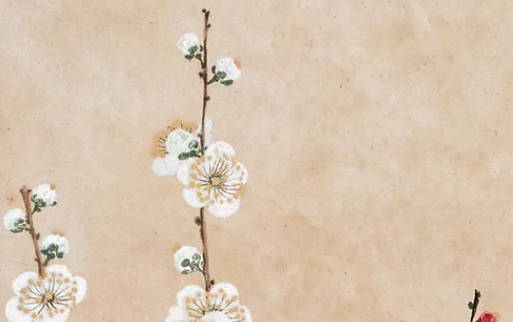 2020年5月31号闰四月初九日生的男孩命运好吗,取什么名字好