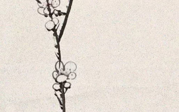 2020-05-08_102727.jpg