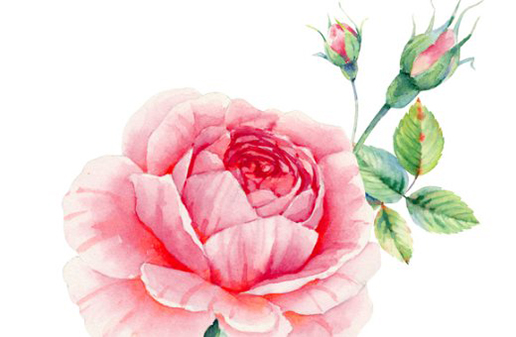 1620263678826712.jpg 2020-11-07_123810.jpg