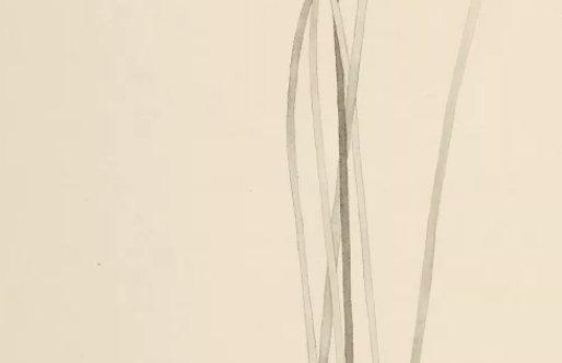 2020年7月15号五月二十五生的女宝宝命好吗，起什么名字有涵义