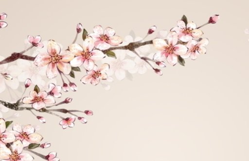 2021年4月27日出生的女孩起什么名字 仙气清冷
