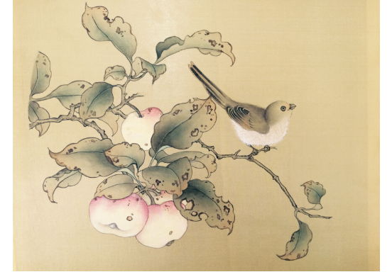 生肖属羊妈妈和生肖属猴爸爸2020年适合生鼠宝宝吗