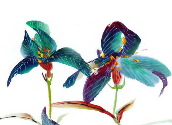 2020年1月生肖属马人的感情运势如何,有没有桃花运