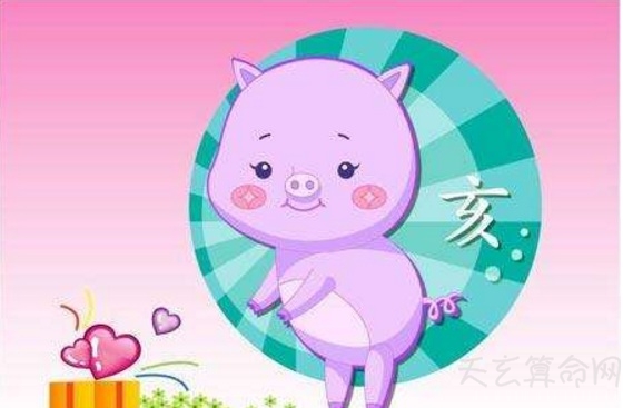 过往之猪是什么意思  生肖属猪的山头火命人