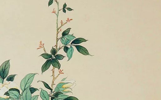 2020年7月5号五月十五生的男孩命运怎么样,取什么名字好