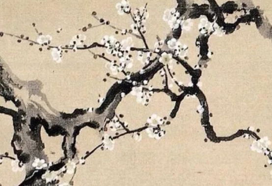 2020年5月出生的宝宝起名方法介绍,古诗词加八字五行
