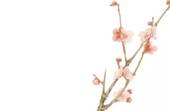 2020年4月29号出生的女孩怎么起名字,五行属什么