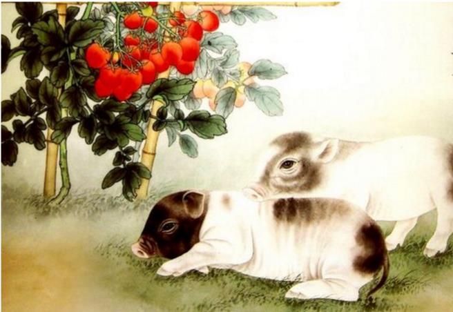 十二生肖的传说之猪，纯属误会