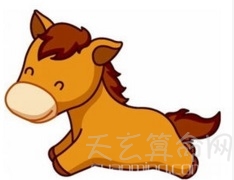 属马的人的性格  头脑灵活喜欢自由无拘无束