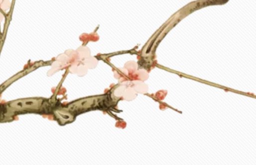 2020年7月31号六月十一出生的女孩是什么命,起什么名字动听