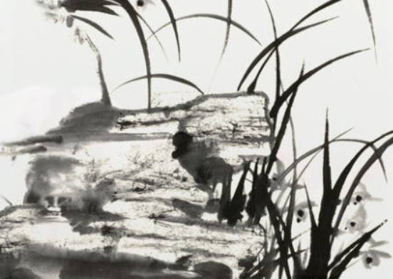 2019年圣诞节出生的男孩命好吗，要怎么起名