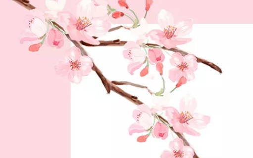 女宝宝取名:2020年12月14号出生的女孩参考四书五经取名字