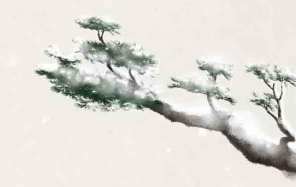 生肖属虎的人2021年运程每个月运势平淡 桃花运不错需把握