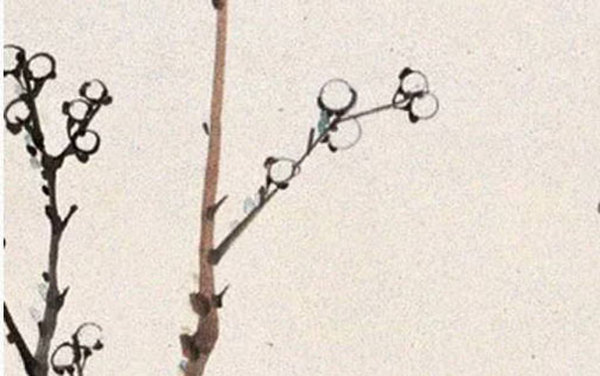 2020-05-08_102730.jpg