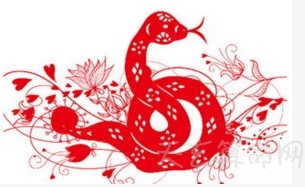 2019年属蛇的贵人属相 2019年生肖牛和生肖鸡都是属蛇的贵人属相