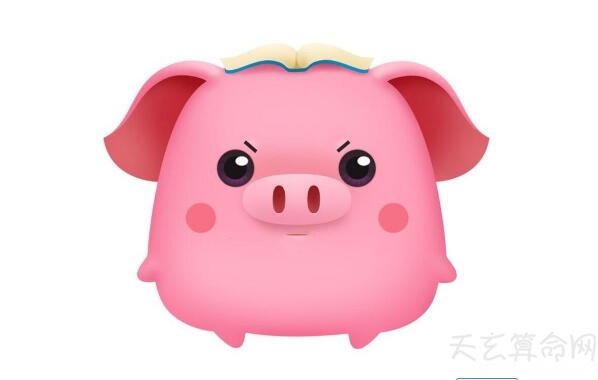属猪2019年生肖运势详解 生肖猪2019本命年有很大挖掘潜能
