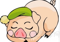 猪宝宝出生时辰命运解析 2019年出生的猪宝宝时辰命运怎样