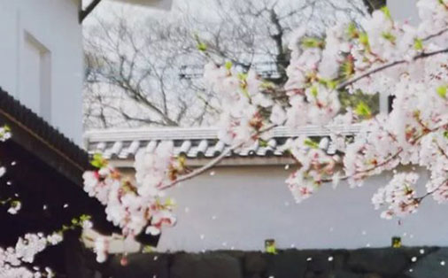 中间带芝的女孩名字 芝字女孩起名大全