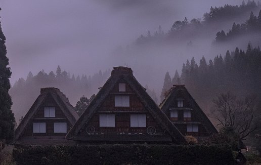 生肖月运 属狗的人2021年2月份运势运程详解