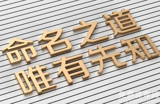 科技公司起名必须新颖明了，才能给顾客留下好的印象