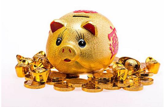 多少年一个金猪年，距下个金猪年还有12年