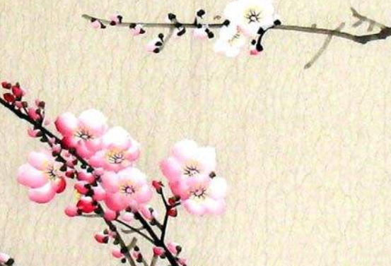 2020年6月19号出生的女孩起什么名字有涵义,五行属什么