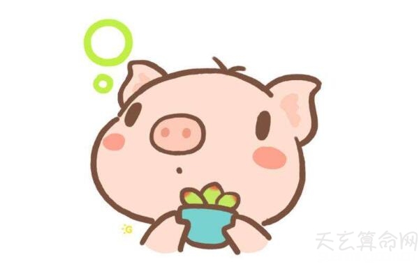 野食道院之猪是什么意思简析 己亥年出生的人