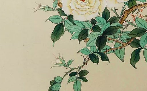 2020年7月5号五月十五生的男孩命运怎么样,取什么名字好