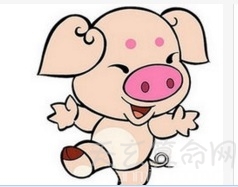 属猪的今年多大 今年运势畅通